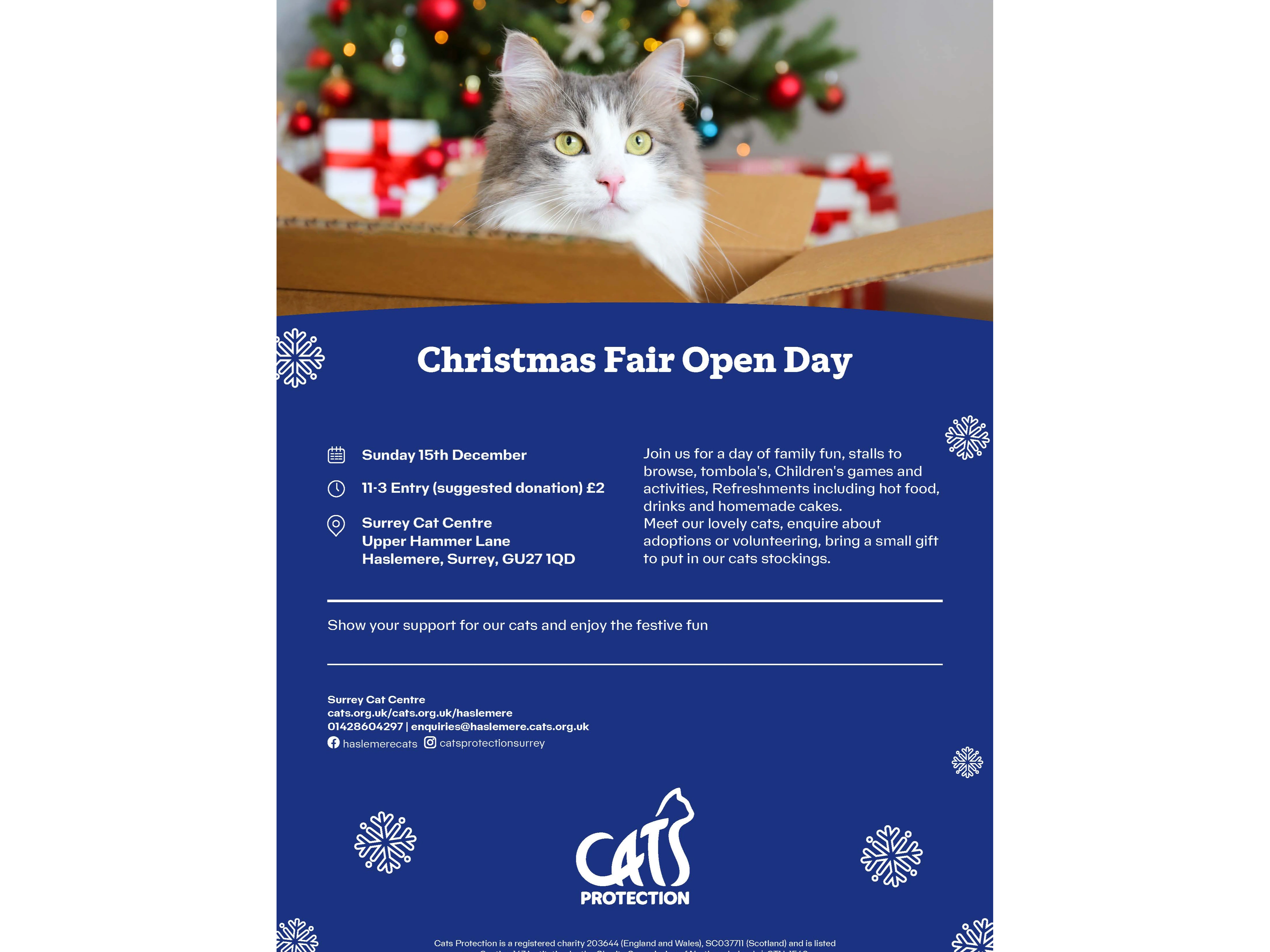 Christmas Fair Open Day