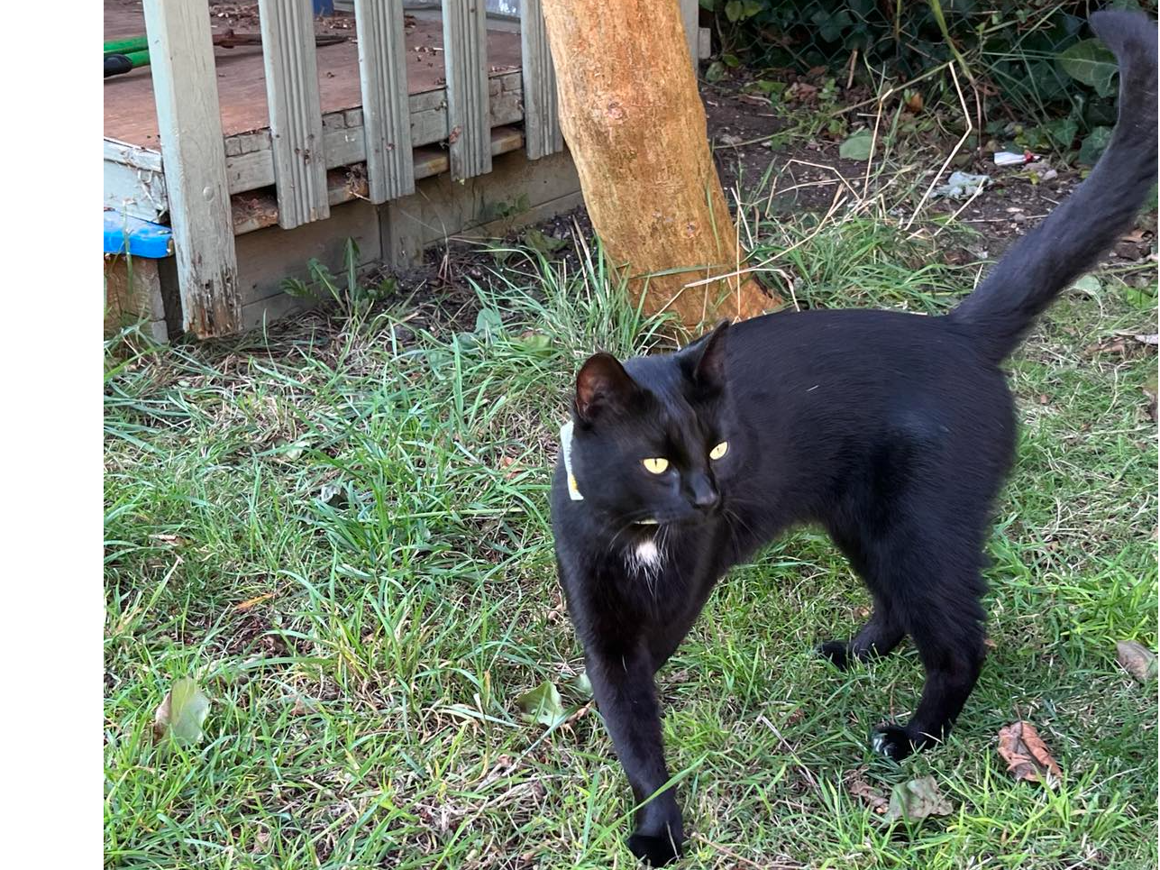 Found 2024.070 - Church Path, nr Haslar Road / South St jct, Gosport