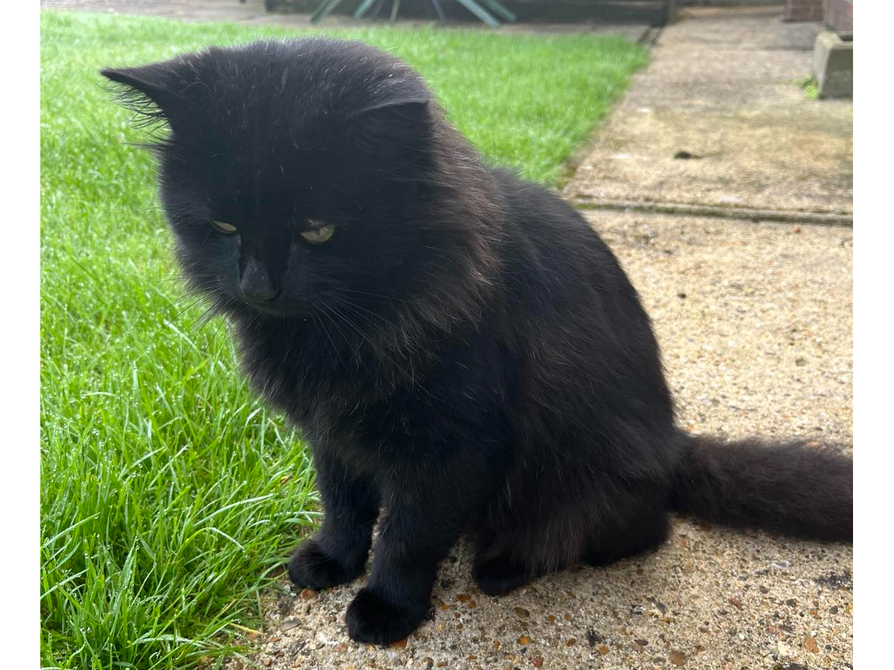 Found 2024.083 - Testcombe Rd (nr Anglesey Rd jct), Alverstoke