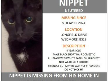 Nippet - missing Wedmore