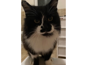 L403 - LONG EATON - Black & White Male