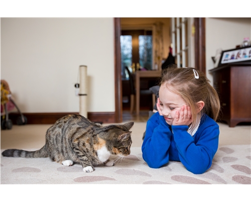 cats-children-help-advice-cats-protection