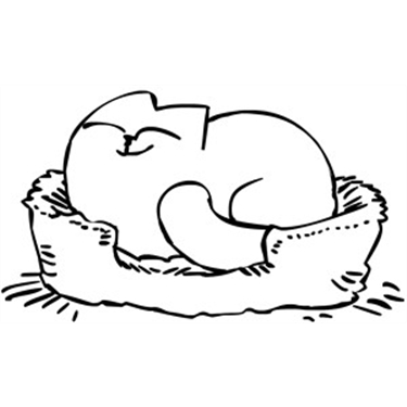 Fancy a catnap? Latest Simon's Cat video focuses on where cats like to sleep
