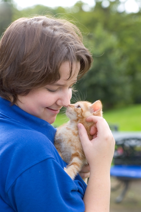 what-we-do-cats-protection-brighton-hove