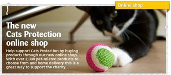 cats protection shop online